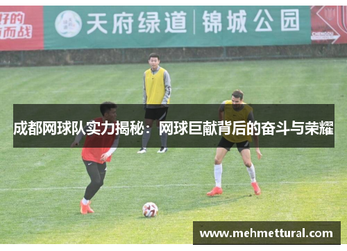 成都网球队实力揭秘：网球巨献背后的奋斗与荣耀