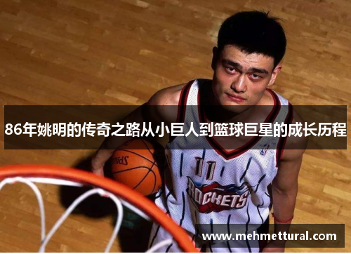 86年姚明的传奇之路从小巨人到篮球巨星的成长历程